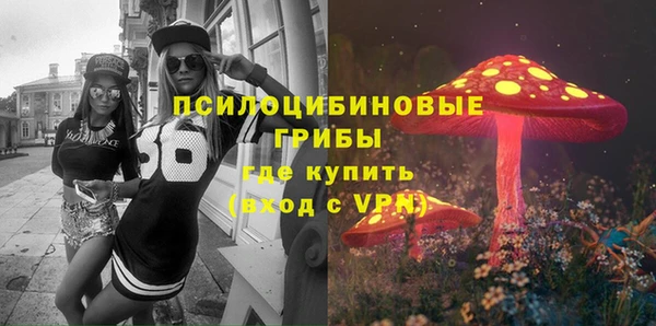 МДМА Богданович